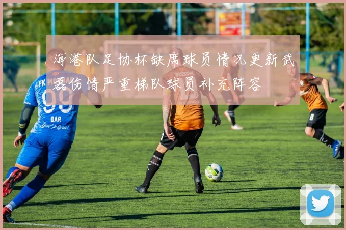 海港队足协杯缺席球员情况更新武磊伤情严重梯队球员补充阵容